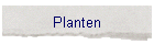Planten